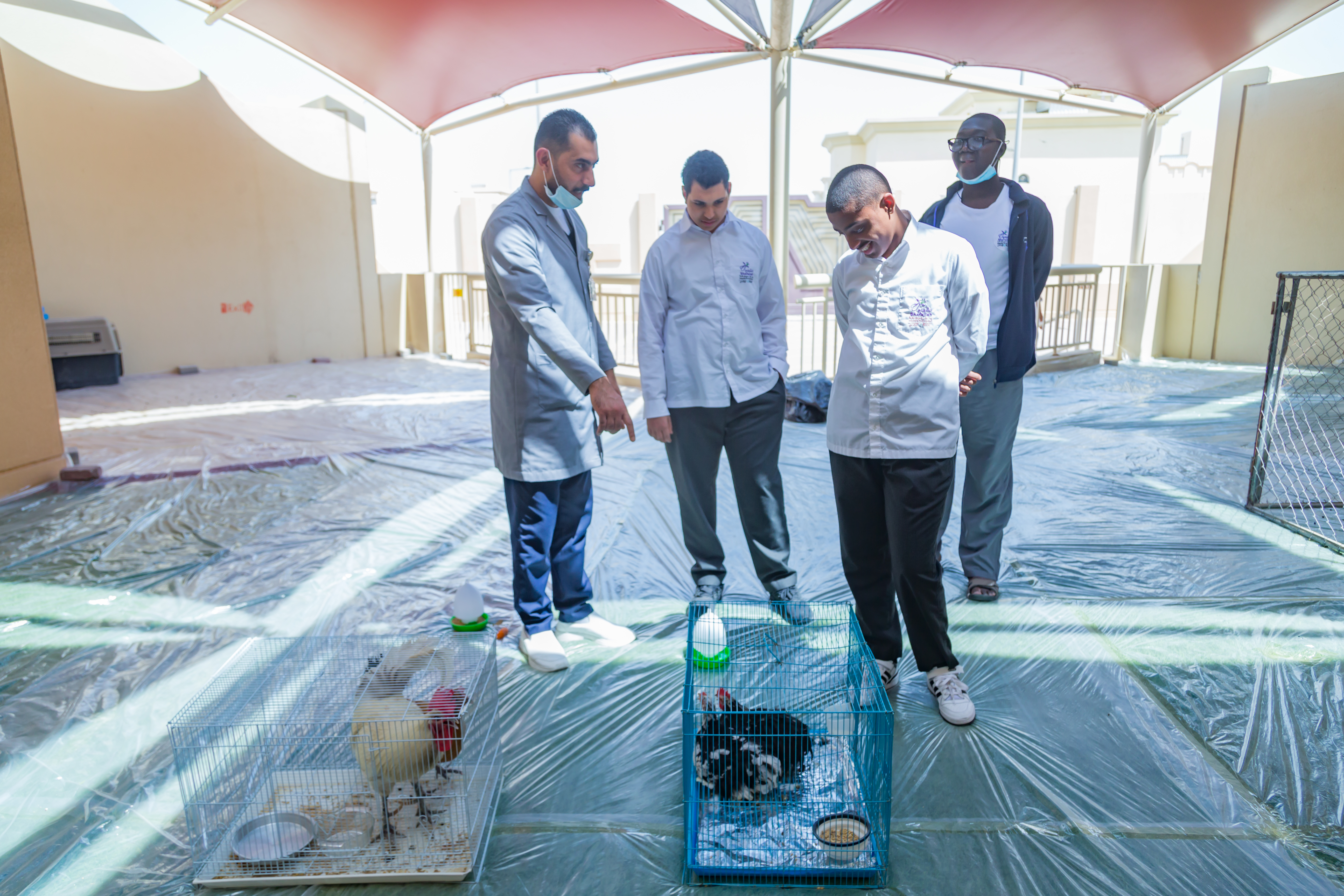 انشطة فعالية مزرعتي 02