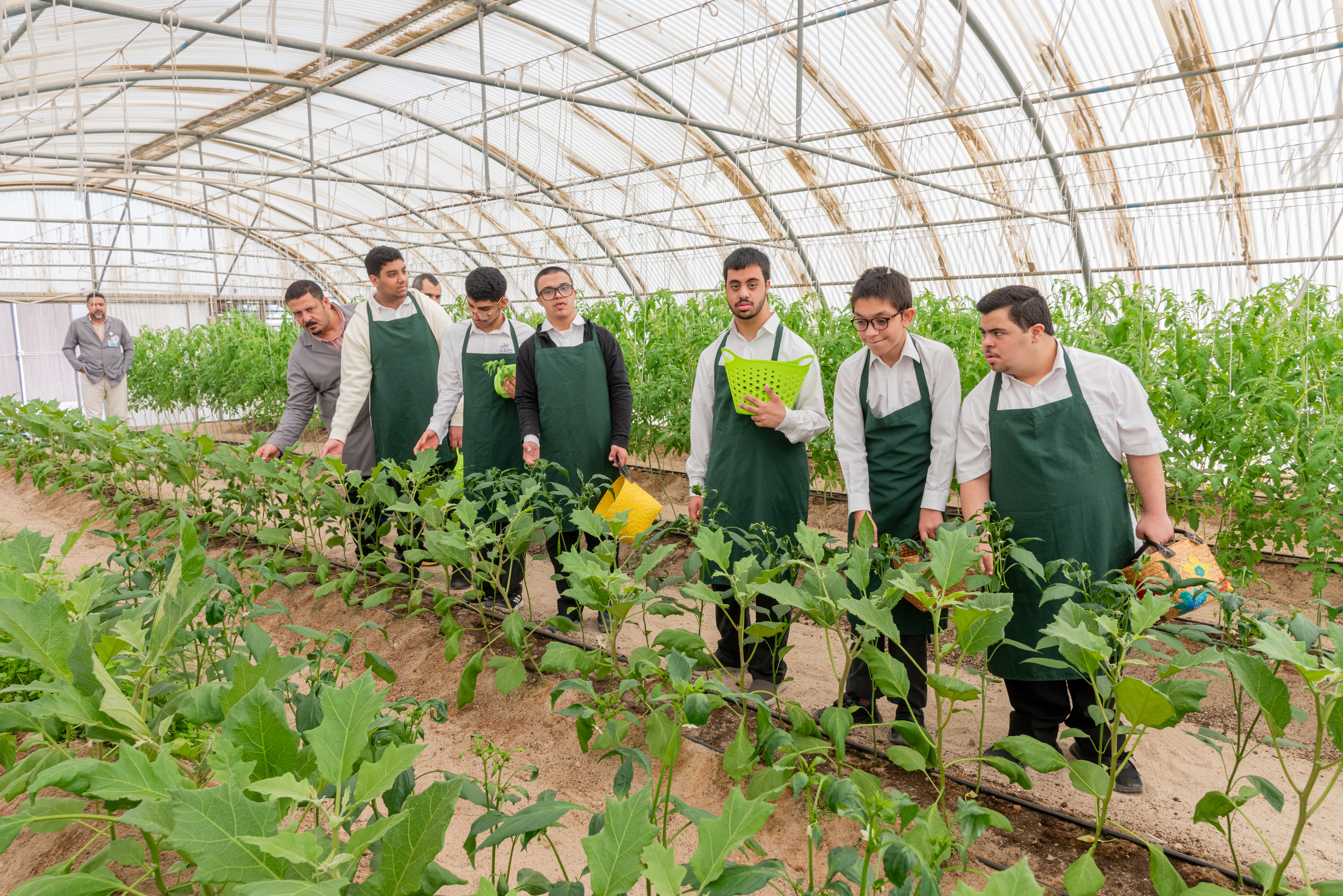 شارك مركز الشفلح للأشخاص ذوي الإعاقة في (أسبوع قطر للاستدامة 2025) من خلال آنشطة زراعية متنوعة. 